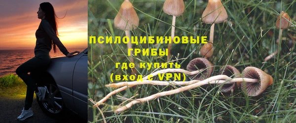 ALPHA-PVP Арсеньев